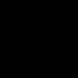 Meet your Posher, Virgen